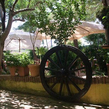 Hotel Ristorante Solari ブリアーティコ エクステリア 写真